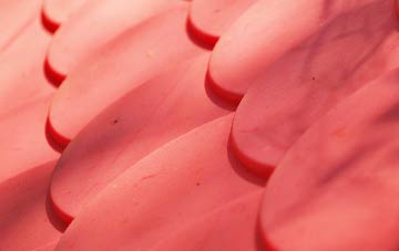 Belchamp Walter plastic roof costs