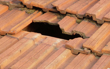 roof repair Belchamp Walter, Essex